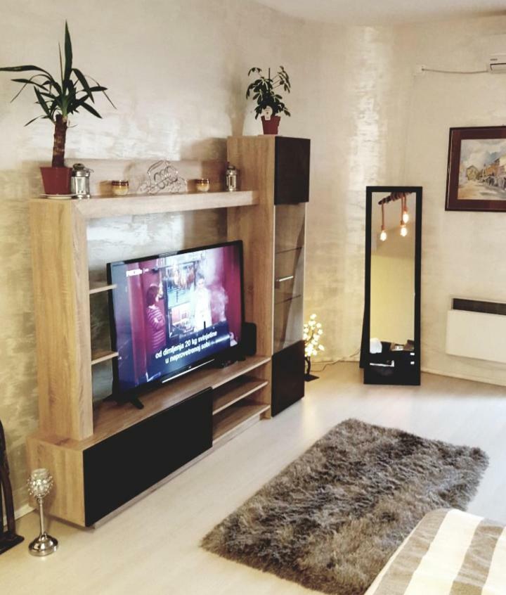 Apartmani Stari Grad Чачак Екстер'єр фото